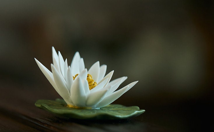Gohobi Handmade Ceramic White lotus White camellia Incense stick holder Gongfu tea Japanese Chado
