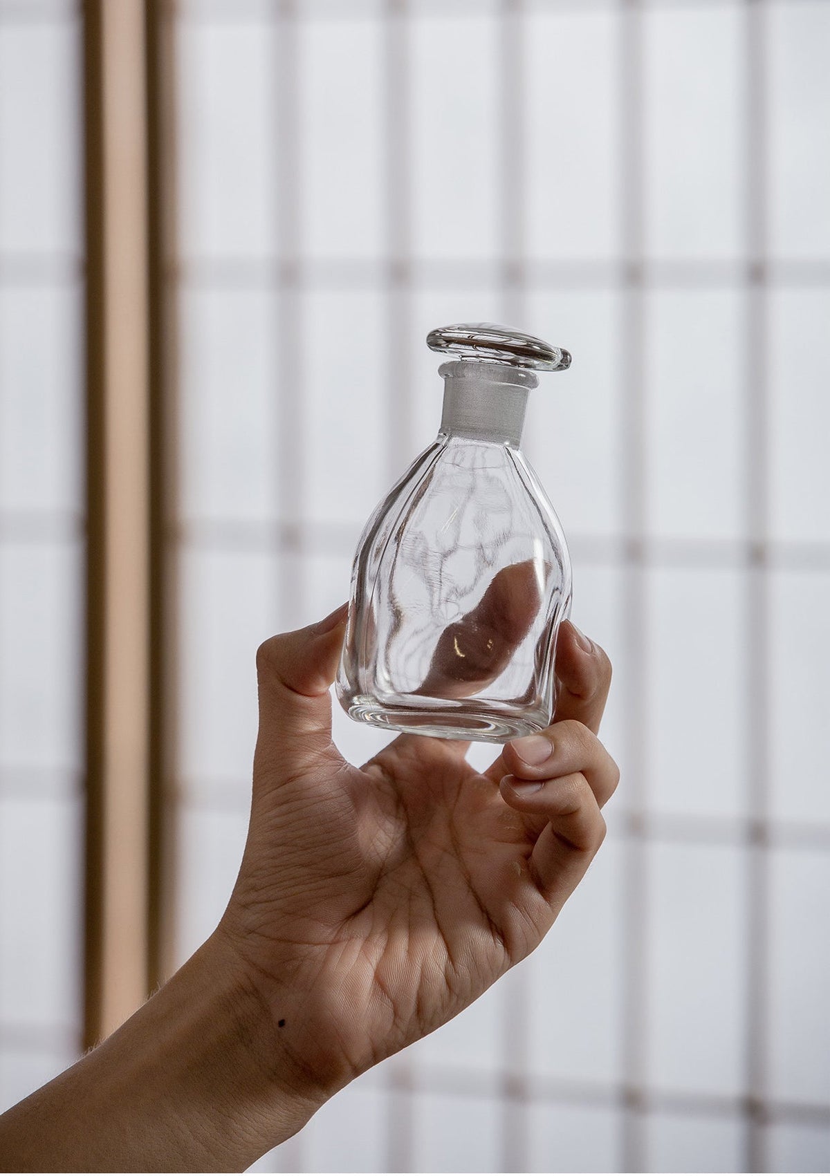 Gohobi Japanese Handmade Leak-Proof Glass Soy Sauce Bottle [Made In Japan]