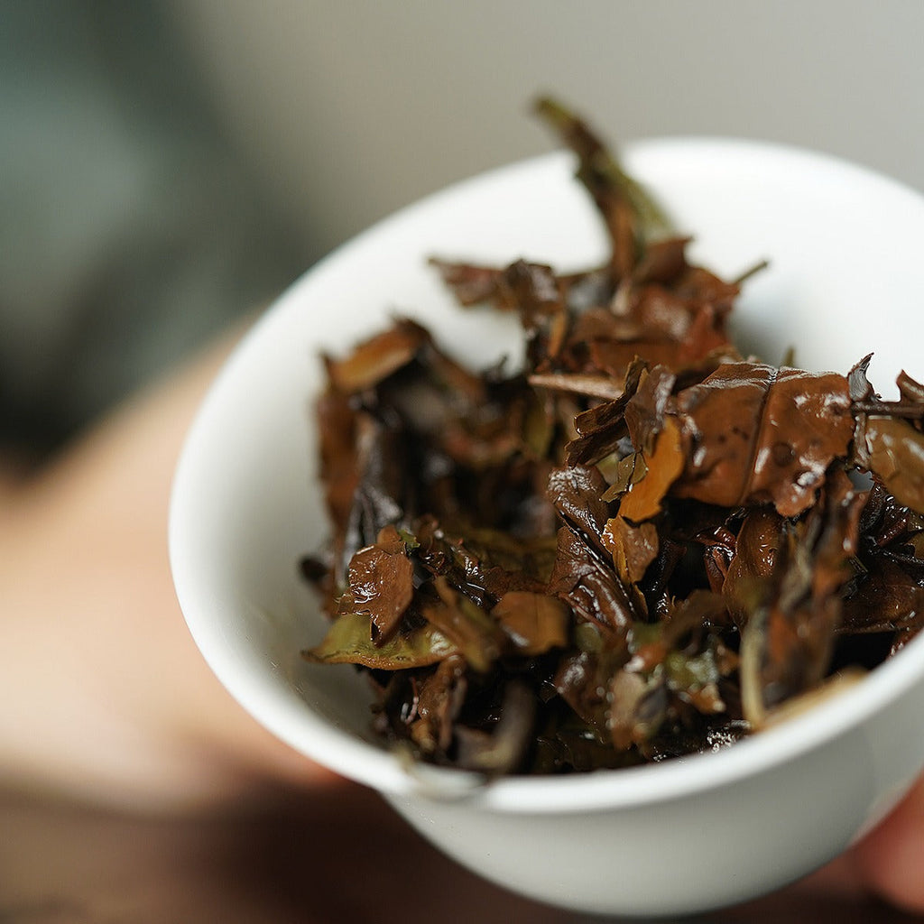Gohobi Limited Edition Founder's Selection - White Tea 精選白茶