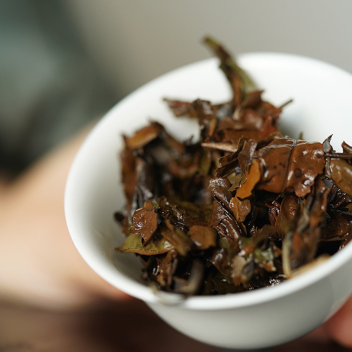 Gohobi Limited Edition Founder's Selection - White Tea 精選白茶