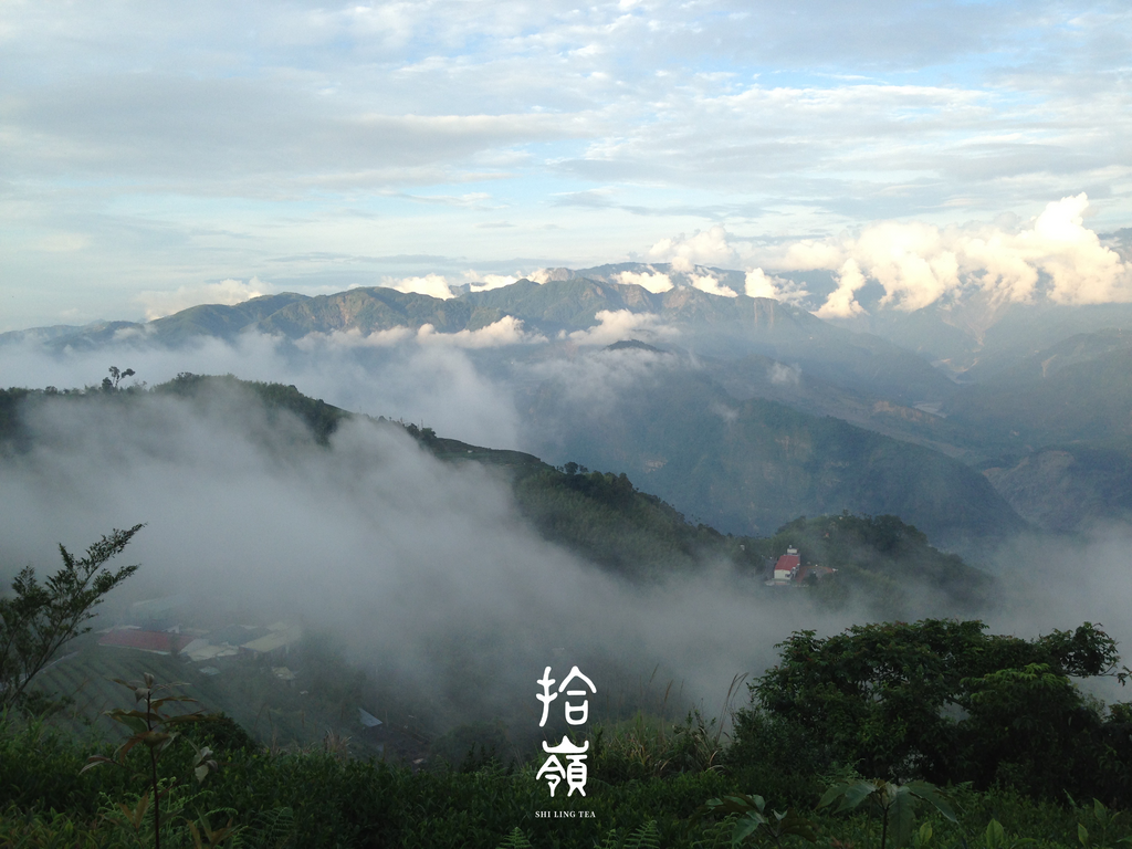 [拾嶺 x Gohobi] Lishan High Mountain Small Leaf Black Tea 梨山 | 高山小葉種紅茶