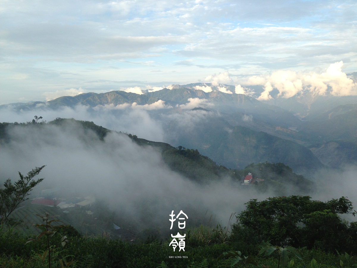 [拾嶺 x Gohobi] Lishan High Mountain Small Leaf Black Tea 梨山 | 高山小葉種紅茶