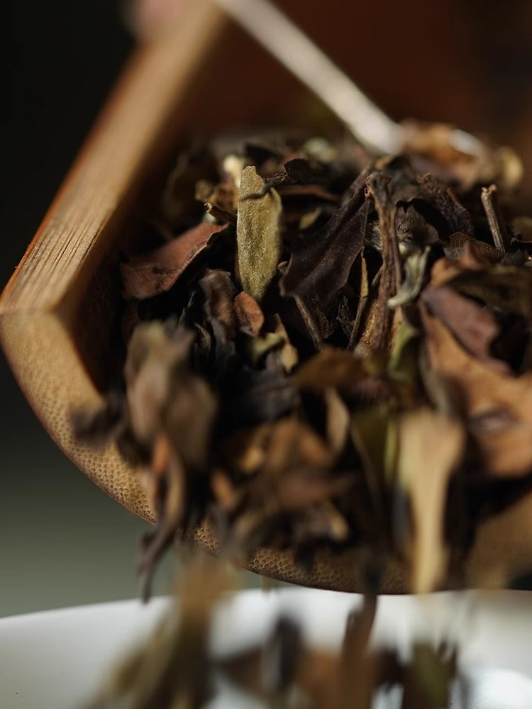 Gohobi Limited Edition Founder's Selection - White Tea 精選白茶