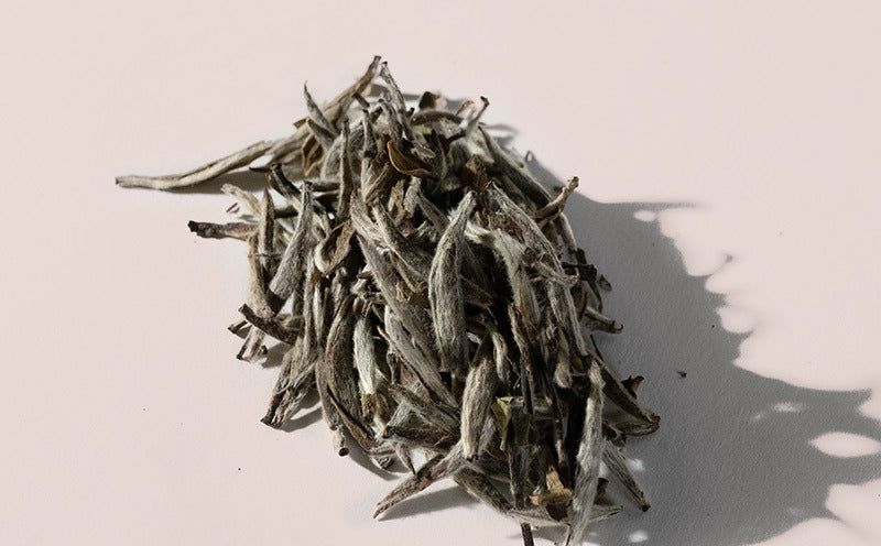 Gohobi Limited Edition Founder's Selection - White Tea 精選白茶