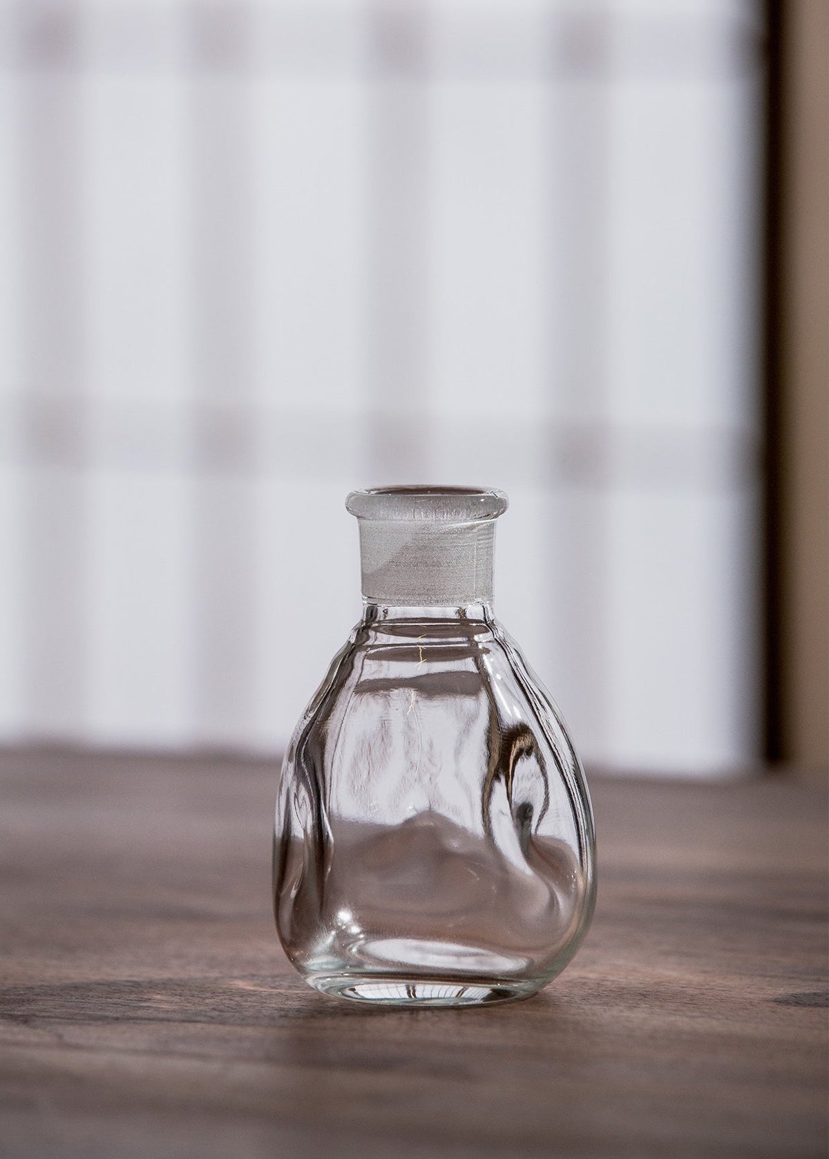 Gohobi Japanese Handmade Leak-Proof Glass Soy Sauce Bottle [Made In Japan]