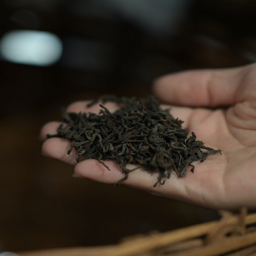 Gohobi Limited Edition Founder's Selection - Liu Bao Tea 廣西梧州精選六堡茶