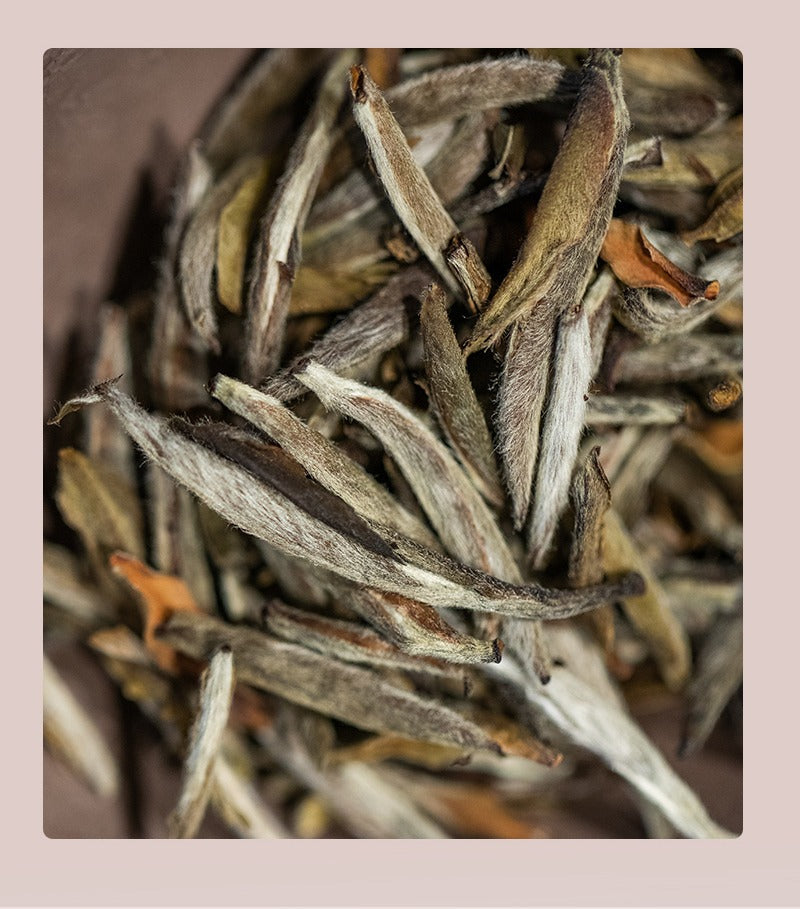 Gohobi Limited Edition Founder's Selection - White Tea 精選白茶