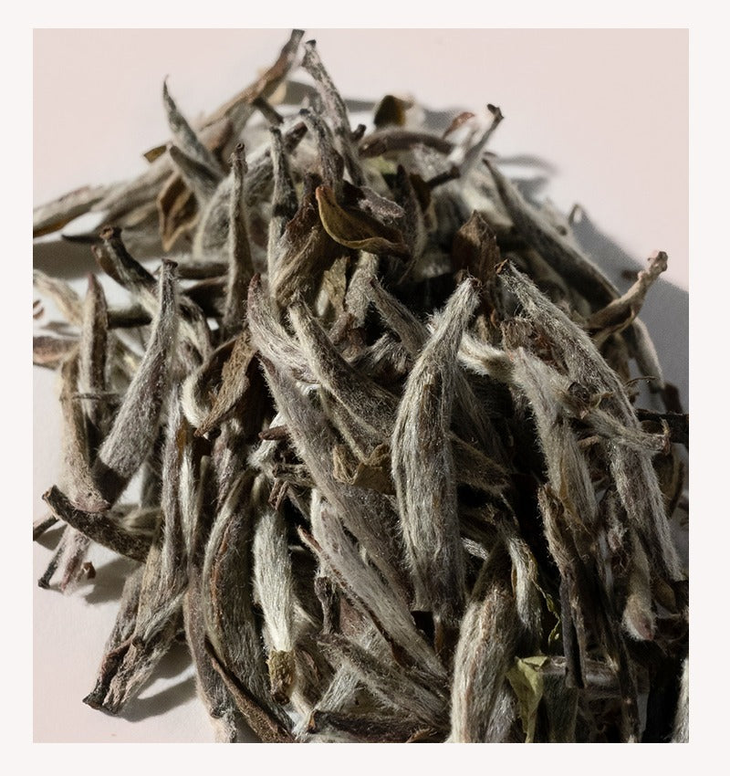 Gohobi Limited Edition Founder's Selection - White Tea 精選白茶