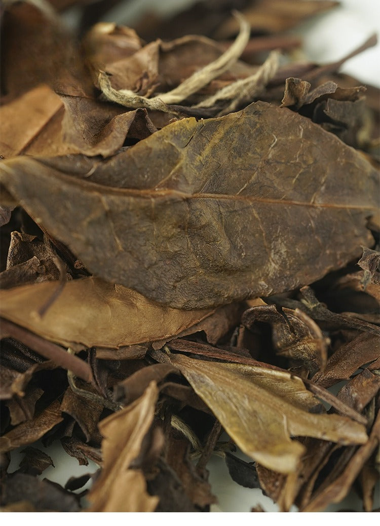 Gohobi Limited Edition Founder's Selection - White Tea 精選白茶