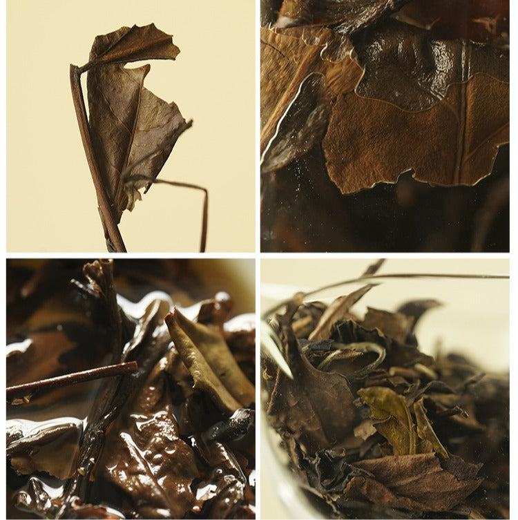 Gohobi Limited Edition Founder's Selection - White Tea 精選白茶