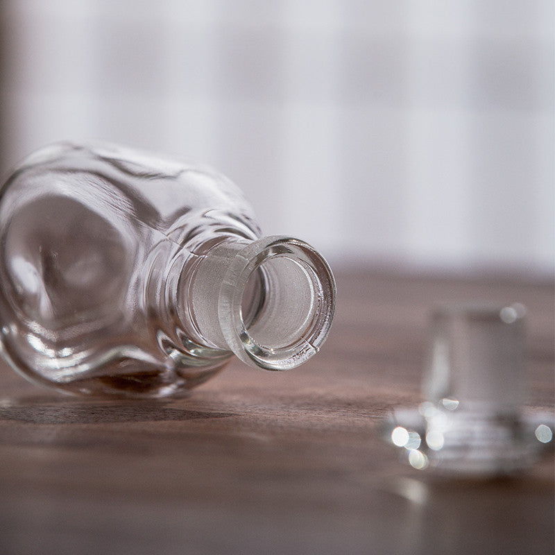 Gohobi Japanese Handmade Leak-Proof Glass Soy Sauce Bottle [Made In Japan]