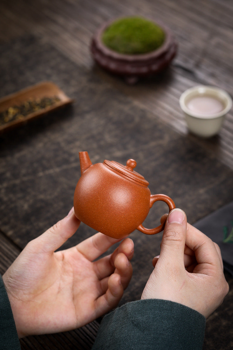 Gohobi Handmade Yixing Zisha Sandy Purple Clay Teapot – 120ml Original Ore Jin Jiangpo Clay, Handmade Thin Body with Built-in Filter, Da Bin Huai Yue Style Small Gongfu Teapot