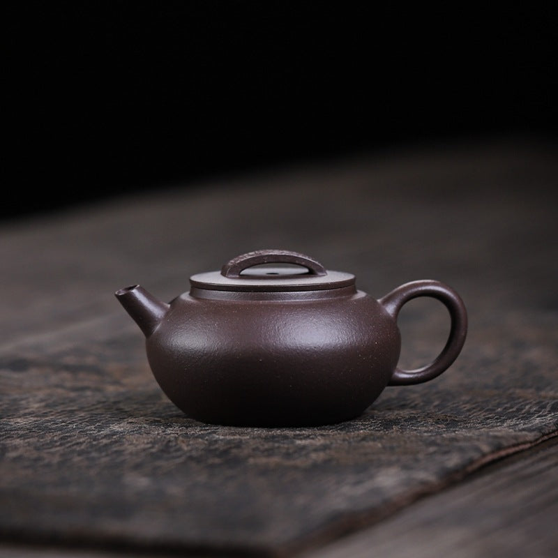 Gohobi Handmade Yixing Purple Zisha Clay Teapot – 120ml Original Ore Tianqing Clay Ruihu (Auspicious Tiger) Style Gongfu Teapot with Built-in Filter