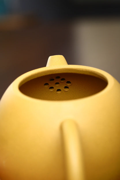 Gohobi Yixing Golden Clay Dragon Egg Teapot