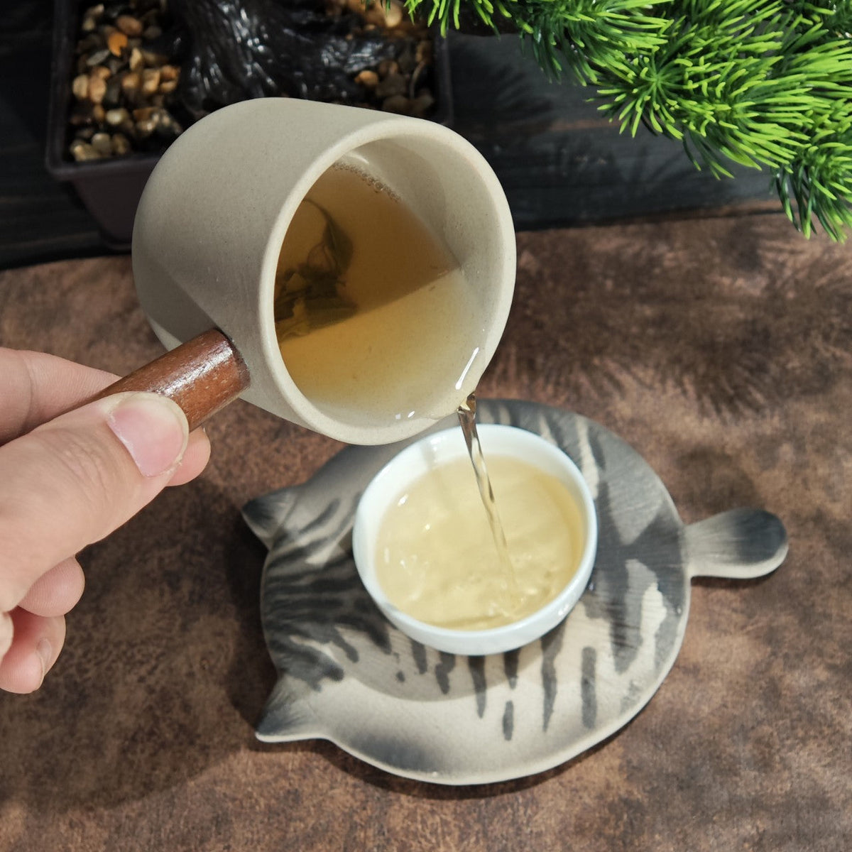 Gohobi Cat Coaster