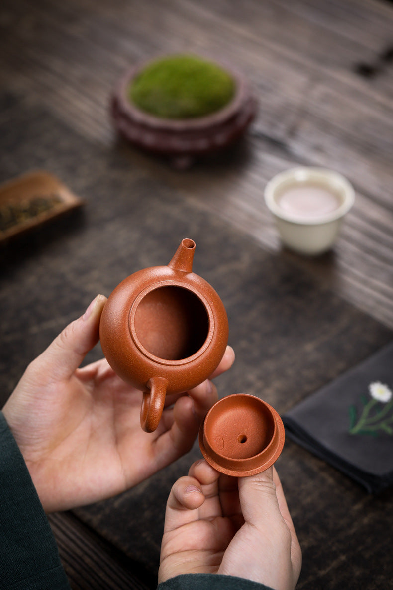 Gohobi Handmade Yixing Zisha Sandy Purple Clay Teapot – 120ml Original Ore Jin Jiangpo Clay, Handmade Thin Body with Built-in Filter, Da Bin Huai Yue Style Small Gongfu Teapot