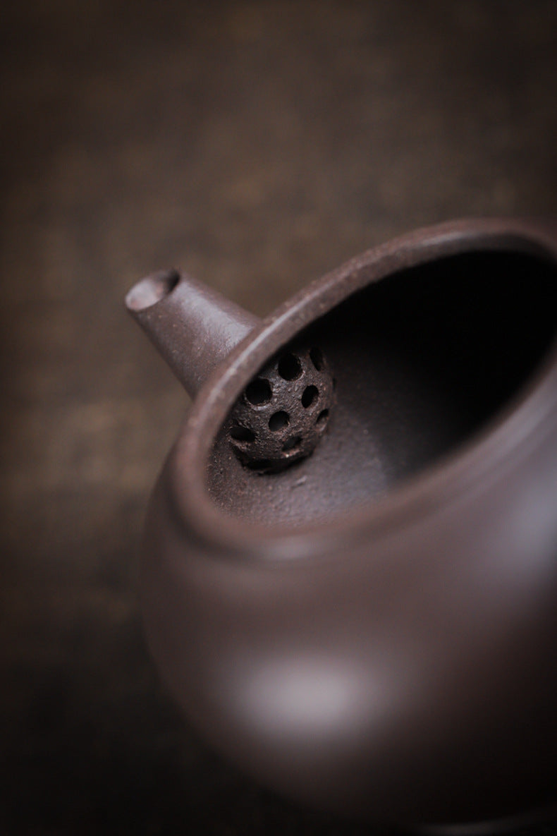 Gohobi Handmade Yixing Celadon Zisha Clay Shui Ping Teapot 100ml – Original Ore Tianqing Clay Thin-Walled Gongfu Tea Teapot with Built-In Filter