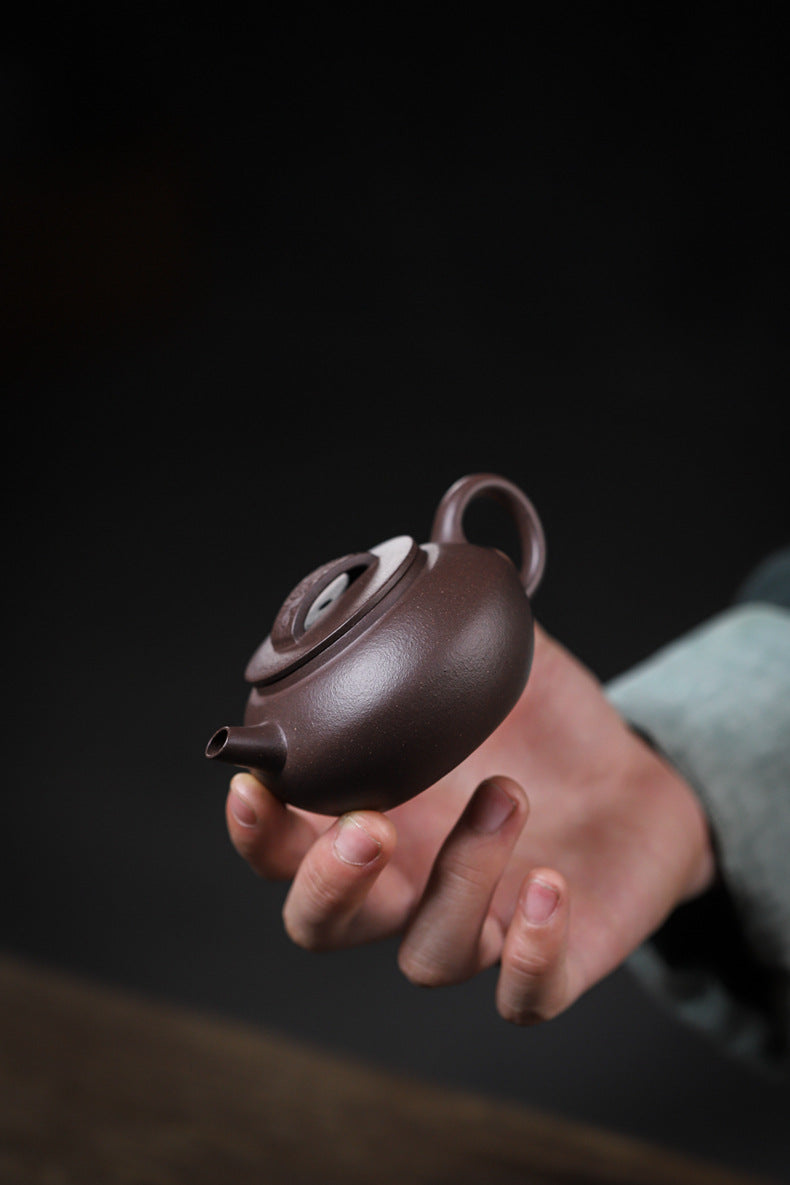 Gohobi Handmade Yixing Purple Zisha Clay Teapot – 120ml Original Ore Tianqing Clay Ruihu (Auspicious Tiger) Style Gongfu Teapot with Built-in Filter