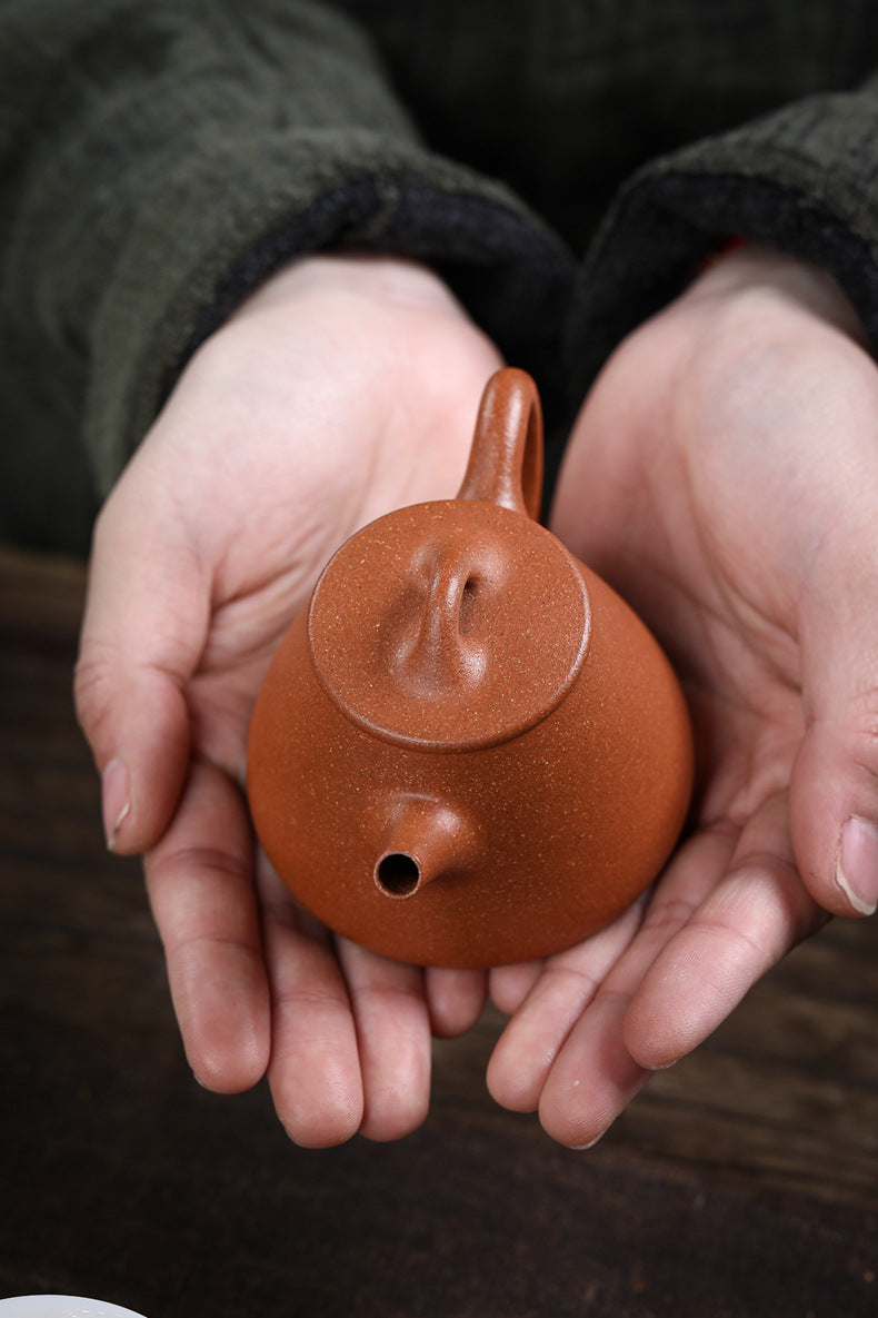 Gohobi Handmade Yixing Zisha Sandy Purple Clay Teapot 150ml – Original Ore Golden Jiangpo Clay Gaoshi Piao Teapot, Lightweight Body for Gongfu Tea Brewing