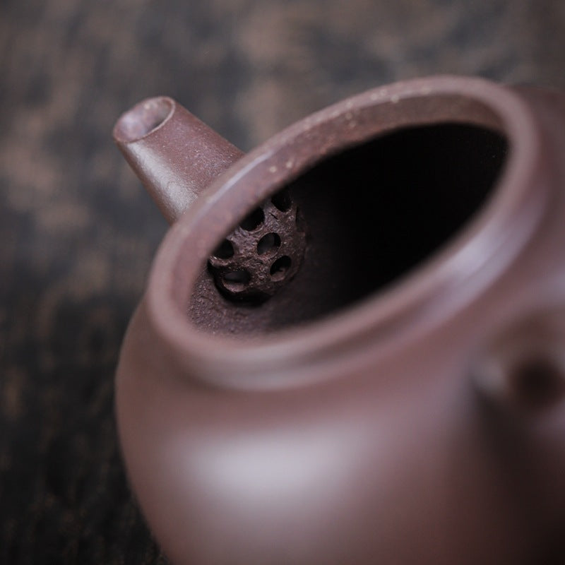 Gohobi Handmade Yixing Celadon Zisha Clay Teapot – 110ml Handmade Tianqing Paozun Shui Ping Teapot, Thin Body with Built-in Filter, Original Ore Purple Clay Teaware